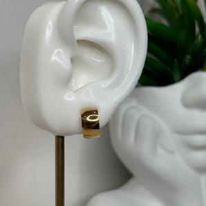 Anais Earrings | Stainless Steel